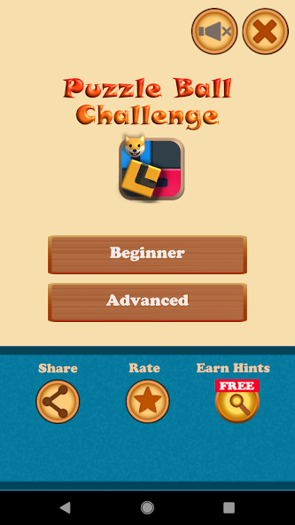 Puzzle Ball Challenge — screenshot 1